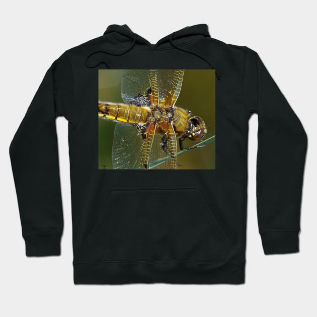 broad bodied chaser dragonfly Hoodie by Simon-dell